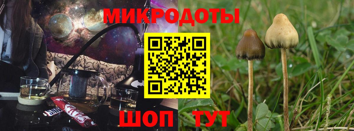 Галлюциногенные грибы ЛСД  Псилоцибиновые грибы мухоморы  Мариинск  Вход с VPN 